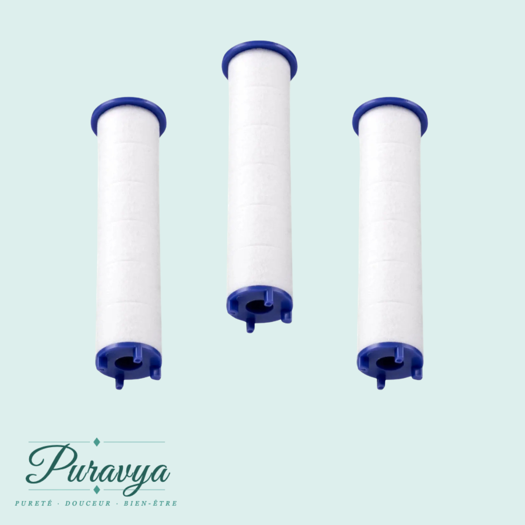 Recharge Filtres Purifiants Puravya™